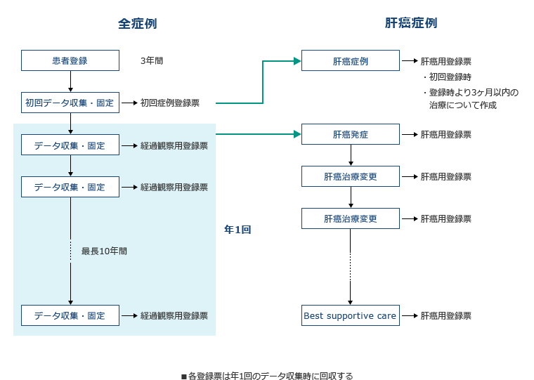 全体の流れ